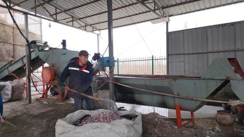 庫(kù)爾勒廢舊物資回收加工產(chǎn)業(yè)園吹響春節(jié)復(fù)工集結(jié)號(hào)